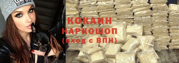a pvp Алзамай