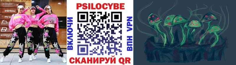 Галлюциногенные грибы Cubensis  Купить где  Бийск 